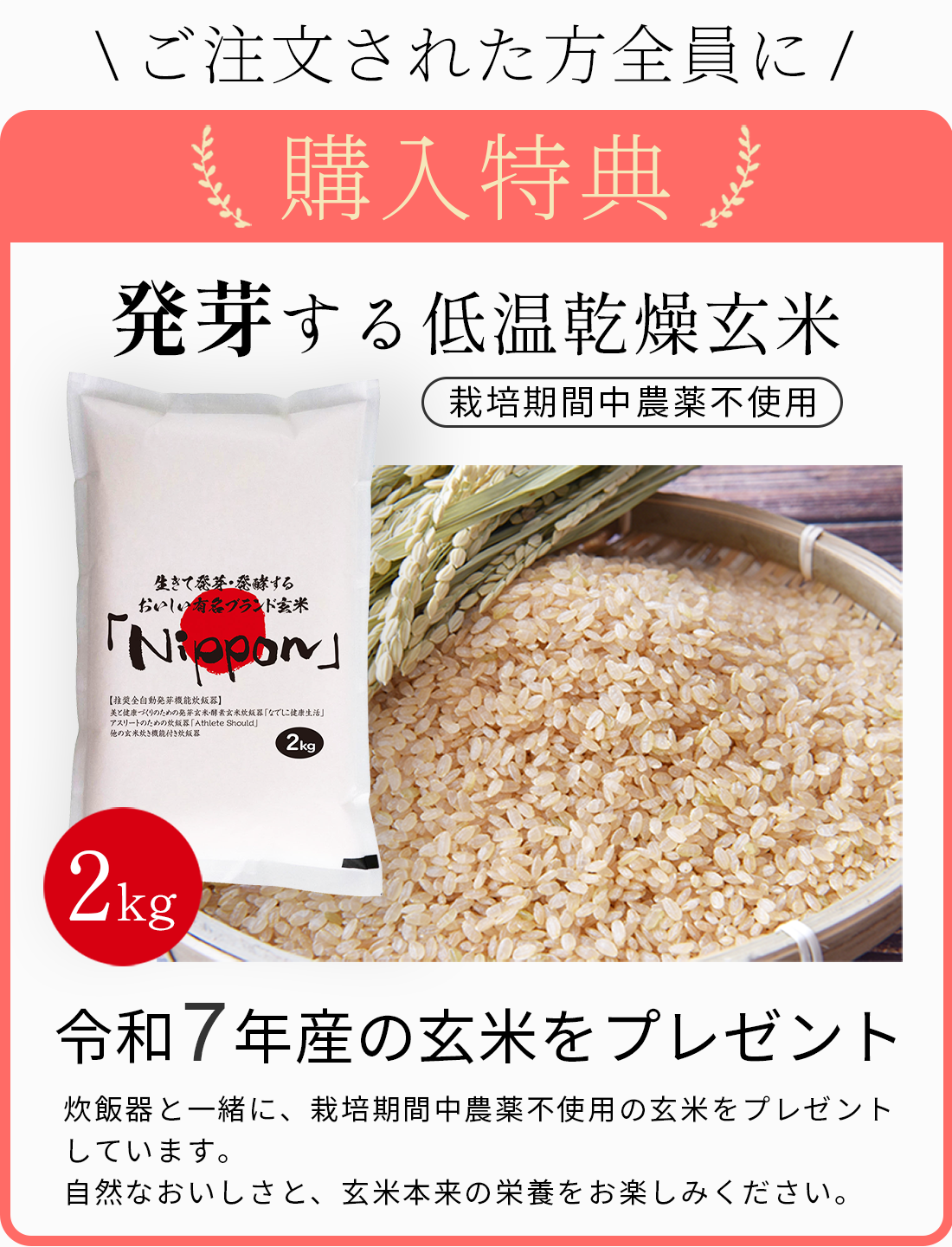 なでしこ健康生活 発芽玄米 酵素玄米炊飯器 発芽機能付】酵素玄米炊飯器 | なでしこ健康生活 NHL-3 [公式通販]