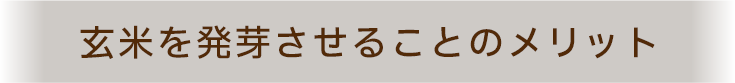 玄米を発芽することのメリット